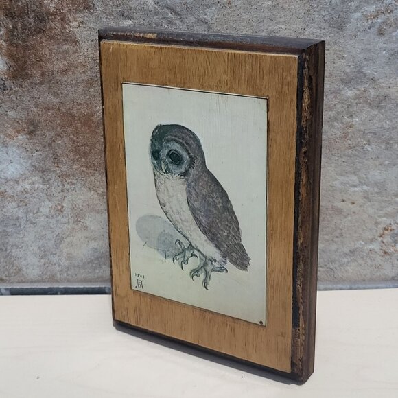 Vintage Framed Print The Little Owl Albrecht Durer - Picture 8 of 10